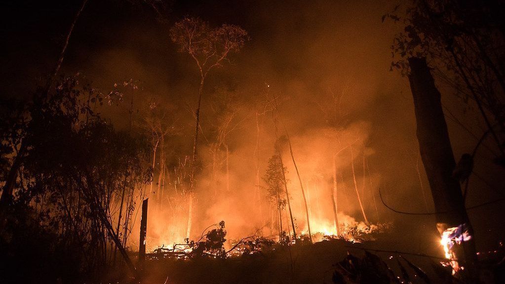 El Niño gera alerta severo de riscos de incêndios no Brasil