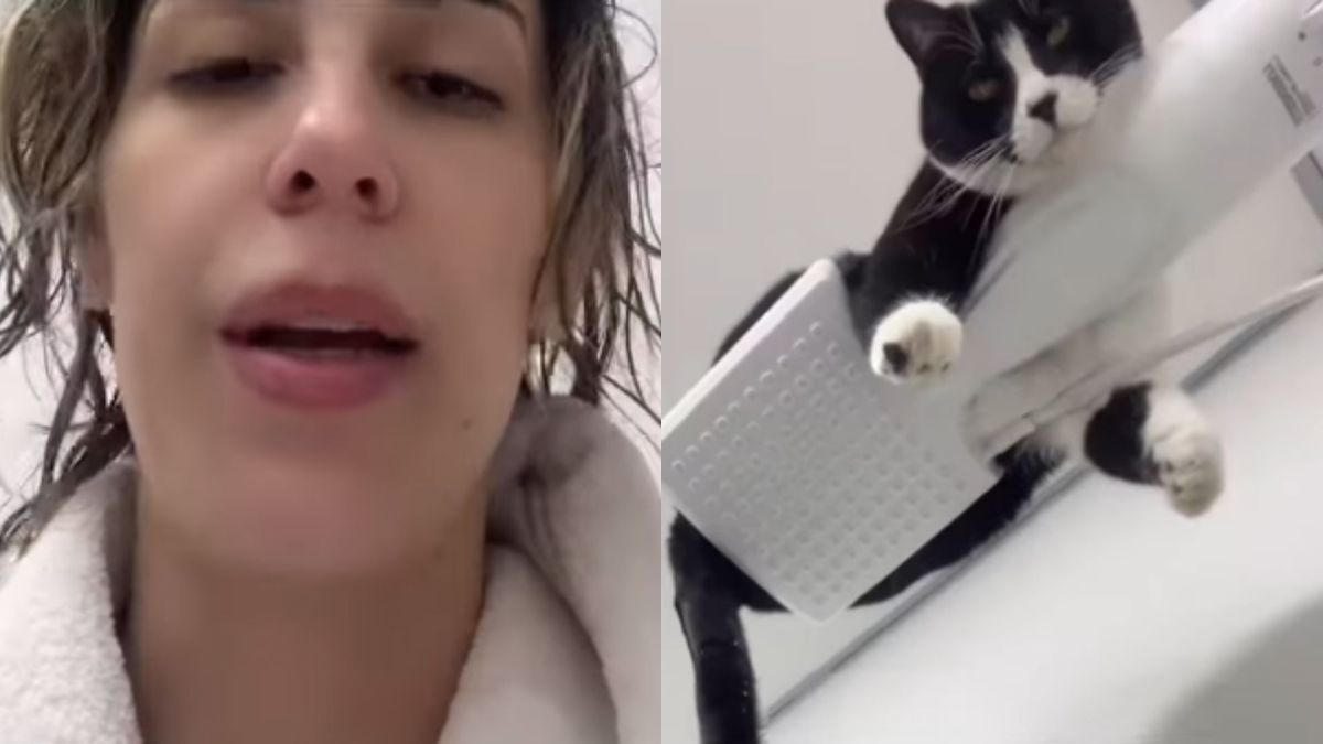 Gato deixa dona assustada e interrompe banho ao se pendurar em chuveiro