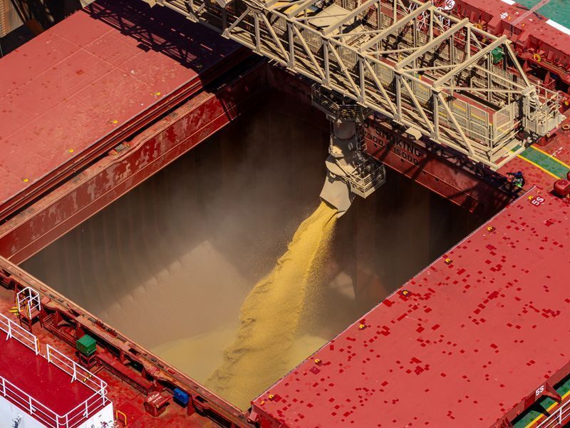 Importações de soja dos EUA pela China mais que dobram em julho