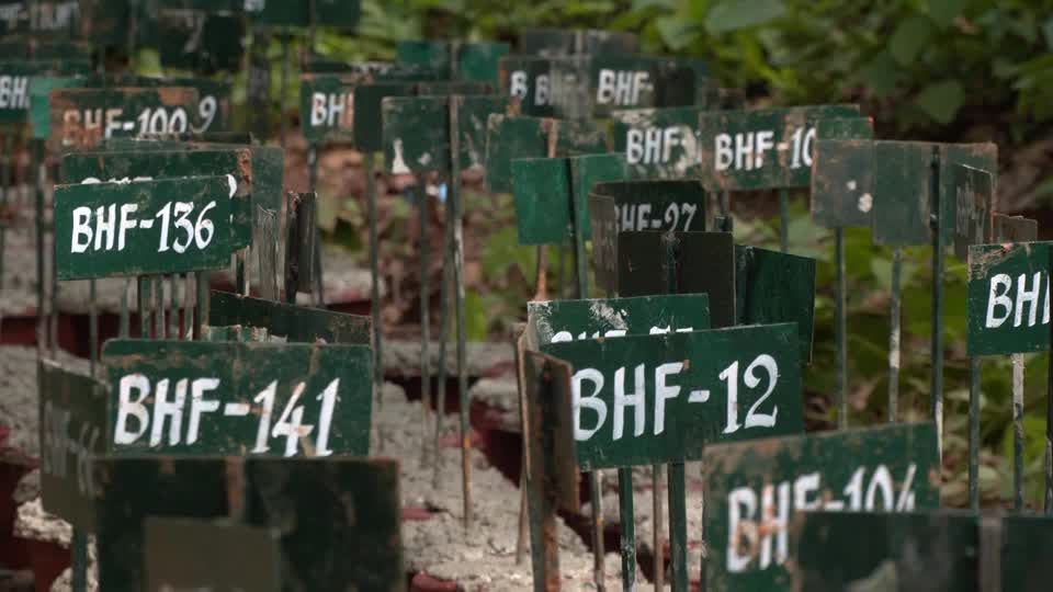 Nepal enterra quase 200 corpos em floresta por lotação de necrotérios