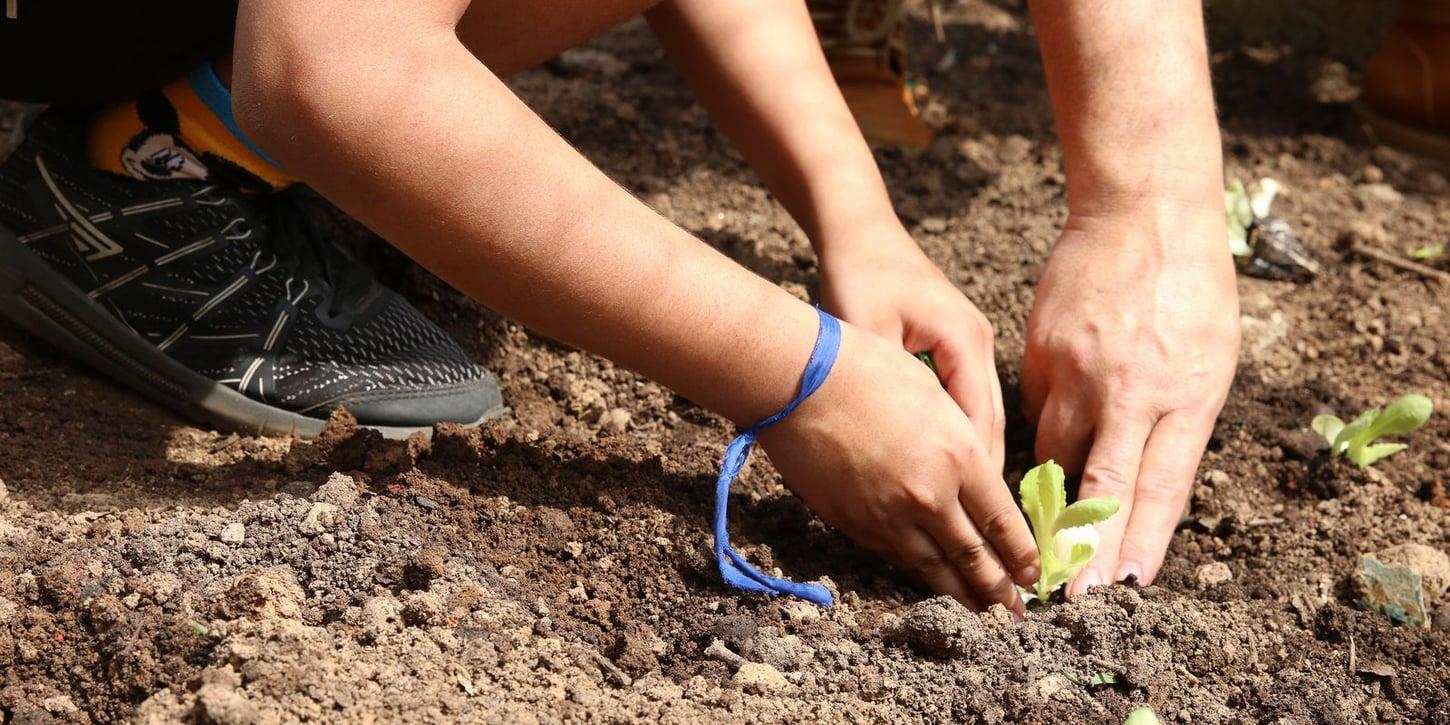 Candidatos recebem apelo por apoio à agroecologia