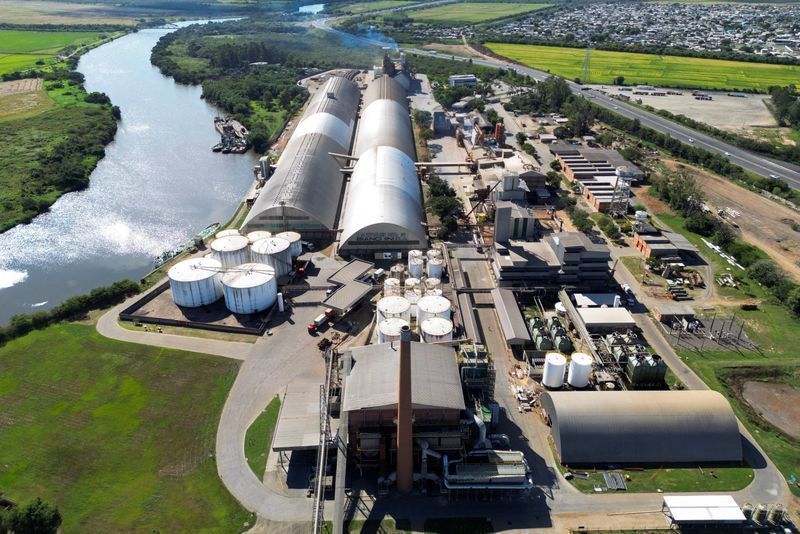 Cenário do petróleo e o papel estratégico da química no biodiesel