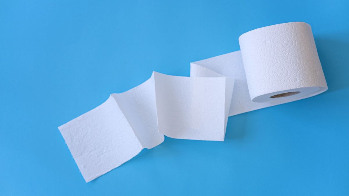 Colocar um rolo de papel higiênico na geladeira: para que serve e por que recomendam fazer isso