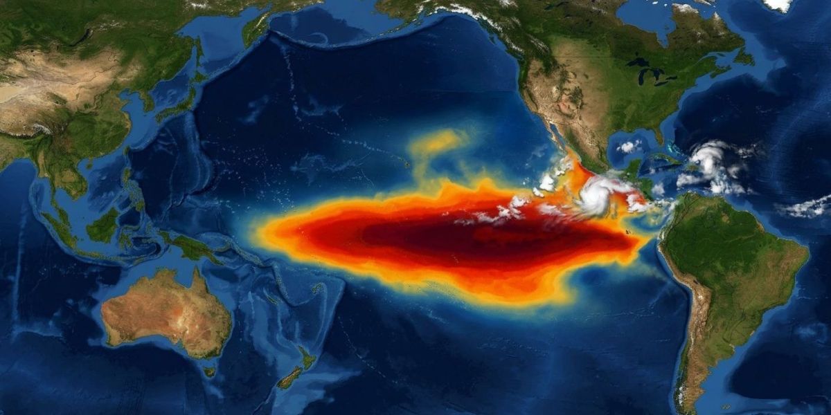 El Niño pode afetar oferta e cotações de soja, diz economista