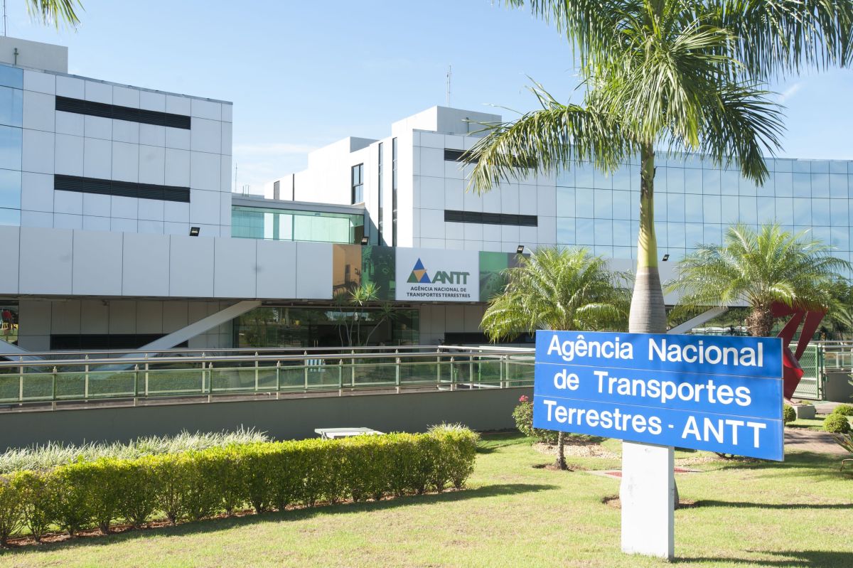 Governo marca para 11 de dezembro leilão da Rota do Pequi