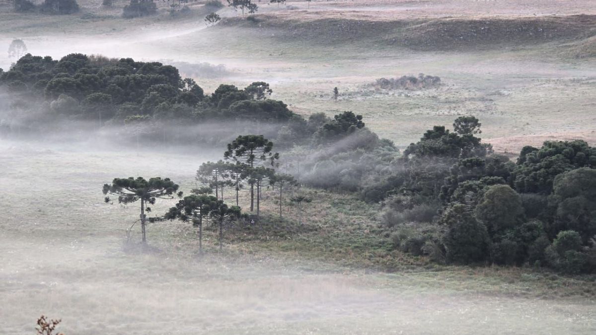 Massa de ar frio pode causar geadas e temperaturas negativas no Sul do país