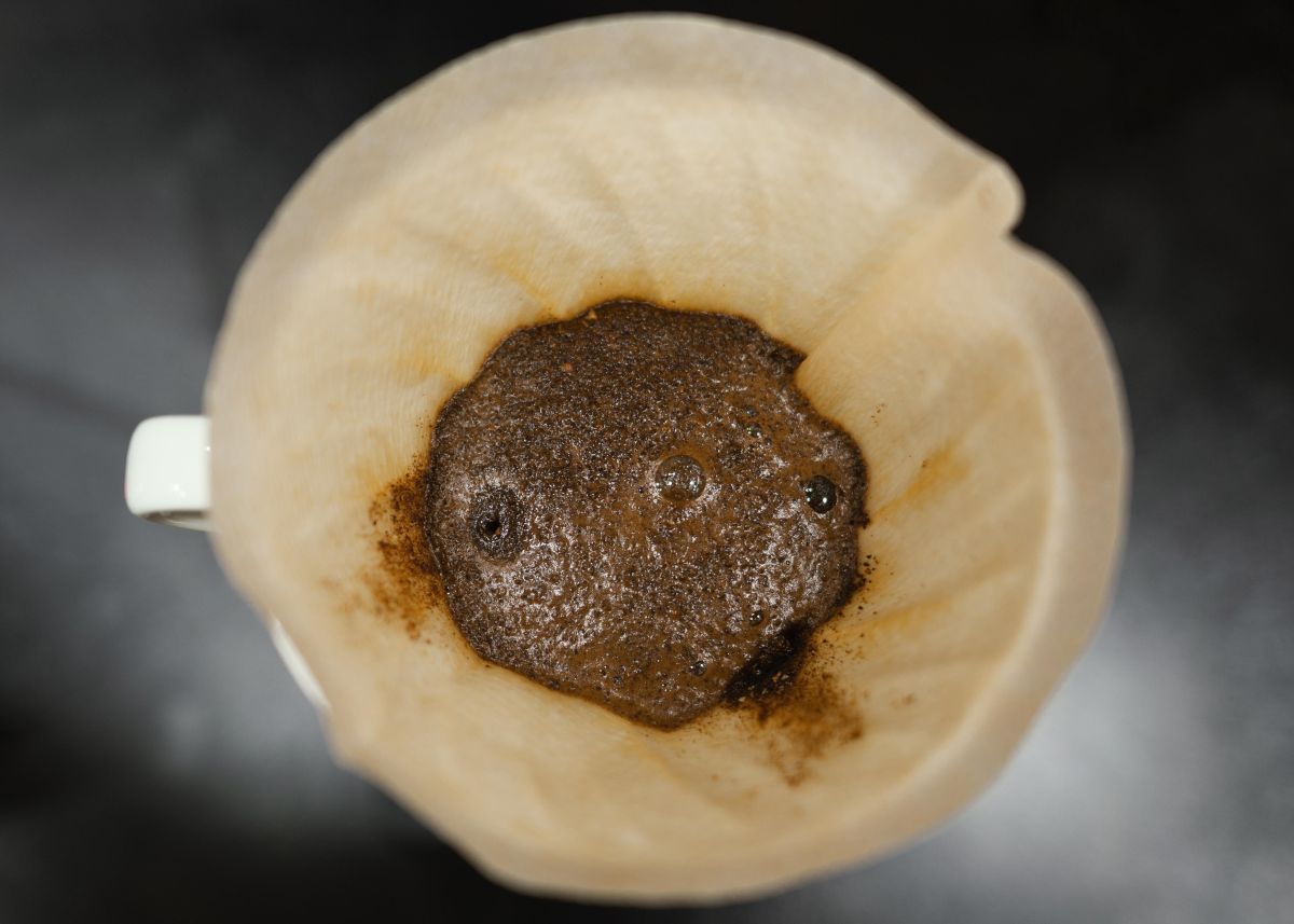 Mistura de canela em pó com borra de café: como funciona e para que ela é recomendada