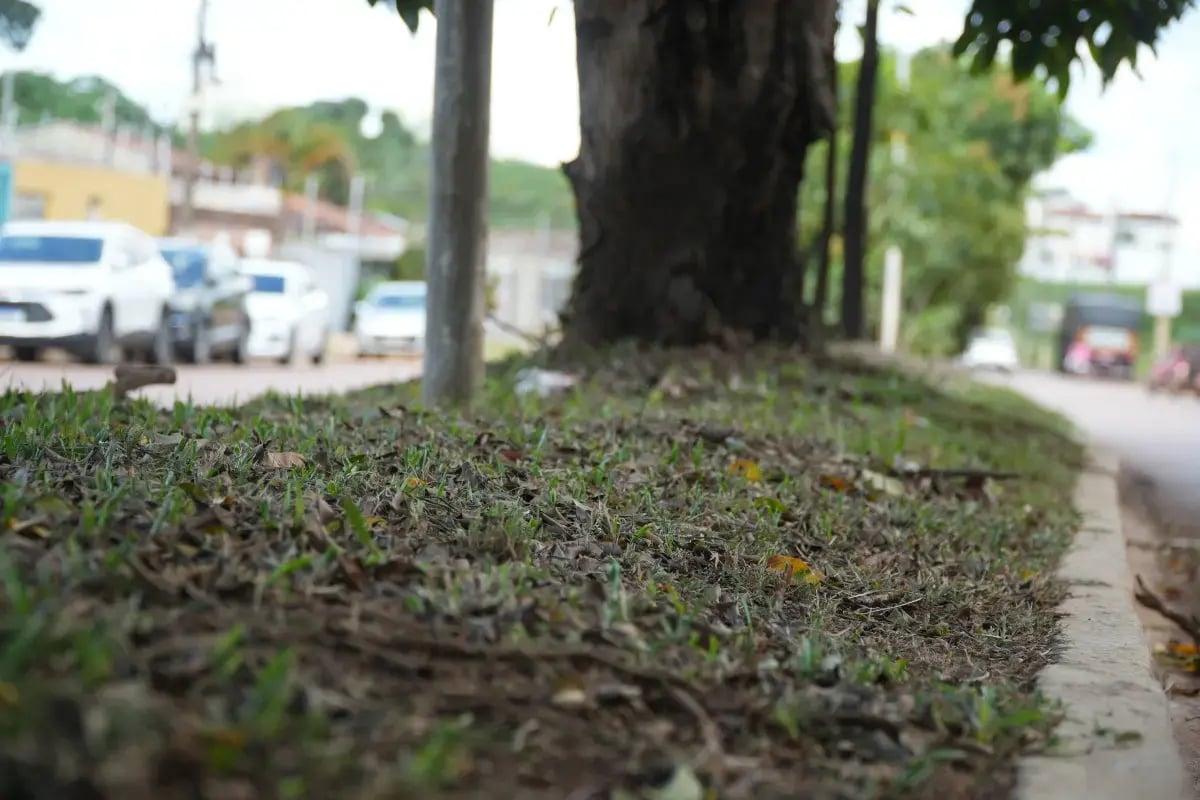 Novas iniciativas de limpeza transformam Porto Velho