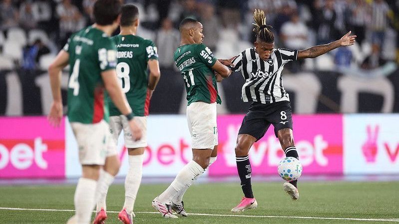 Palmeiras empata com Botafogo e perde a ponta do Brasileiro para o Flamengo