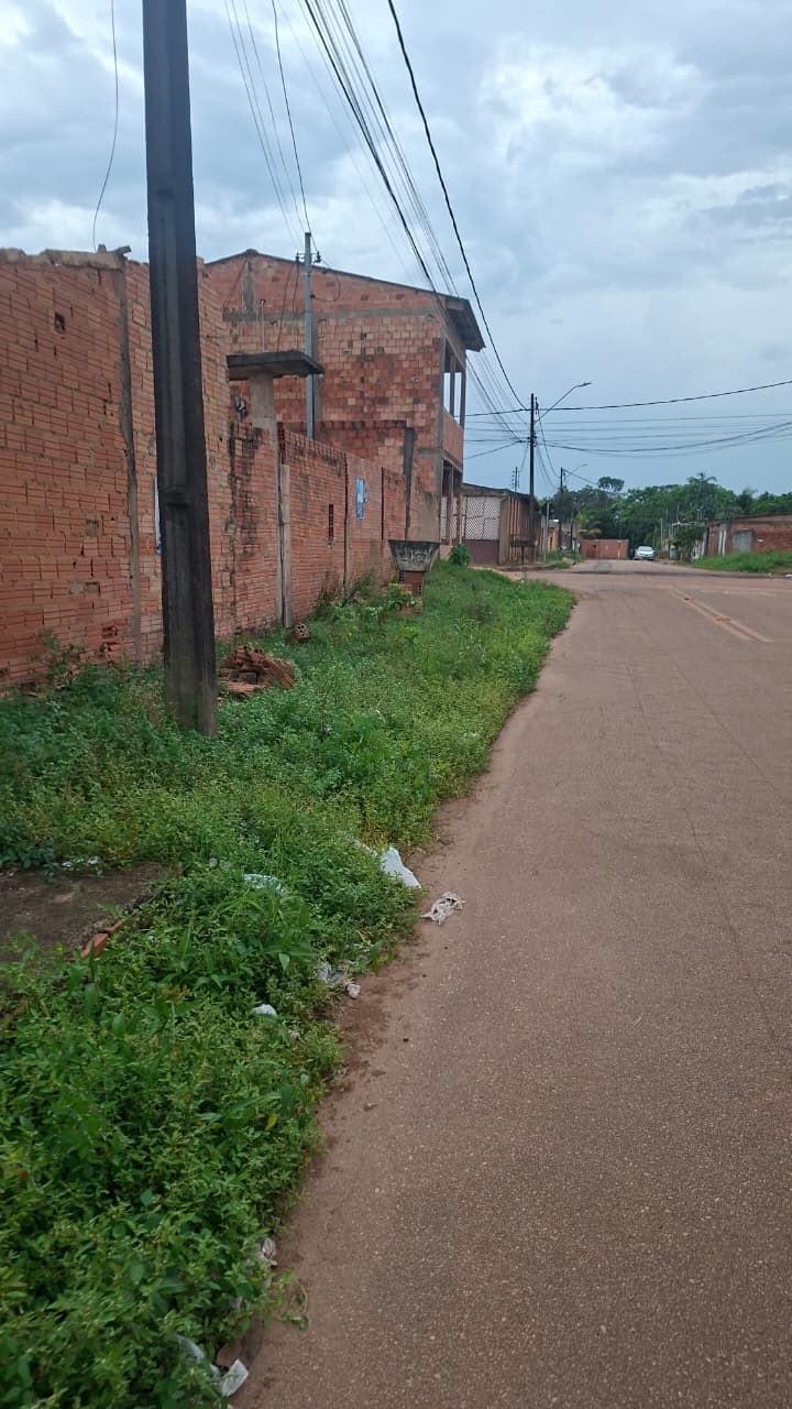 Pedido de providência busca limpeza e roçagem no bairro Cidade Nova