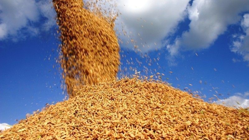 Preços de alimentos sobem 1,99% e puxam alta da indústria em agosto