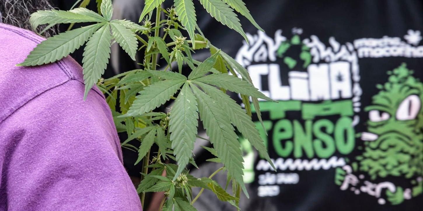Prisão preventiva é mais comum em flagrantes por drogas do que em outros crimes