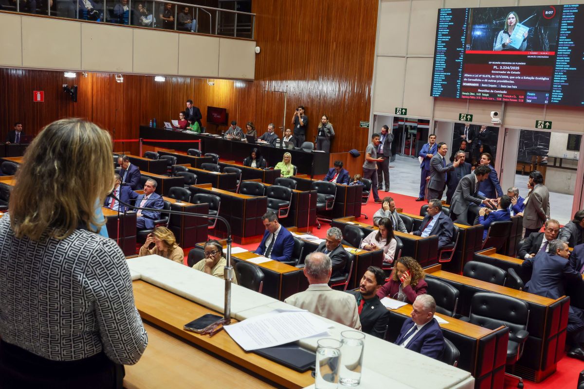Saiba quem são os candidatos a deputado estadual pelo Democrata em MG