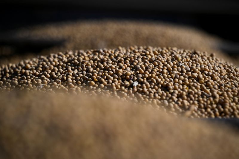Soja recua em Chicago após USDA elevar previsão de produção dos EUA