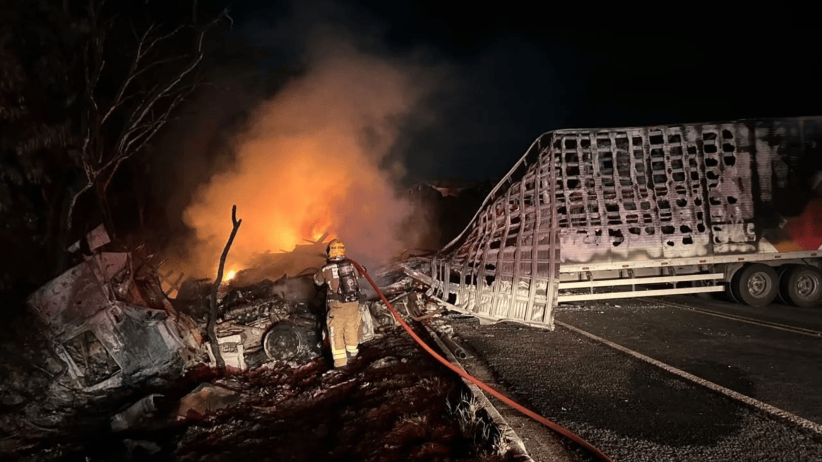 Acidente entre carretas causa incêndio e uma pessoa morre carbonizada em MG