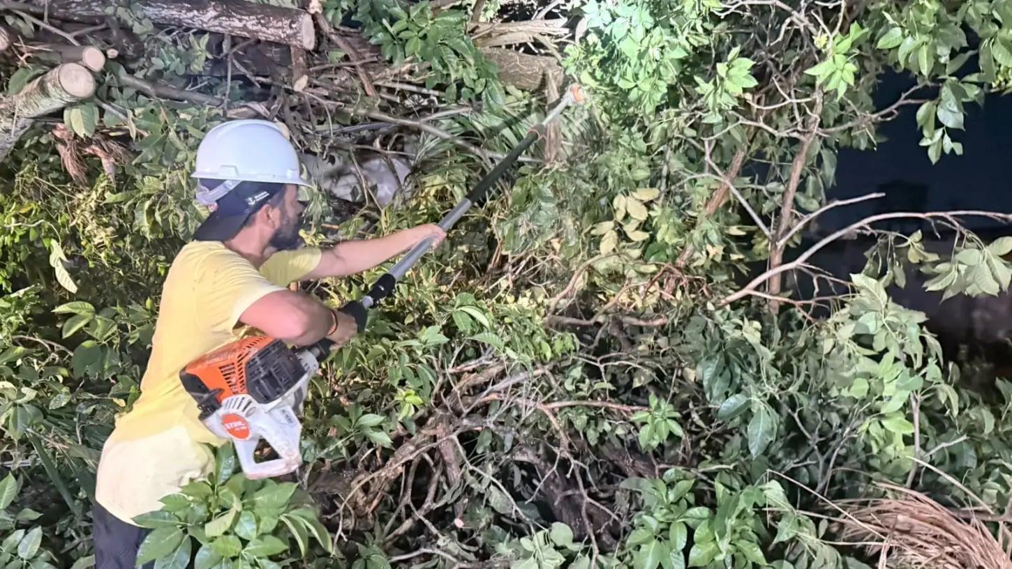 Após tempestade, equipes atuam na remoção de árvores e reforçam cuidados em meio às mudanças climáticas