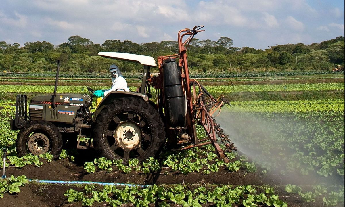 Brasil importou 15 mil toneladas de agrotóxicos proibidos na UE, diz Oxfam