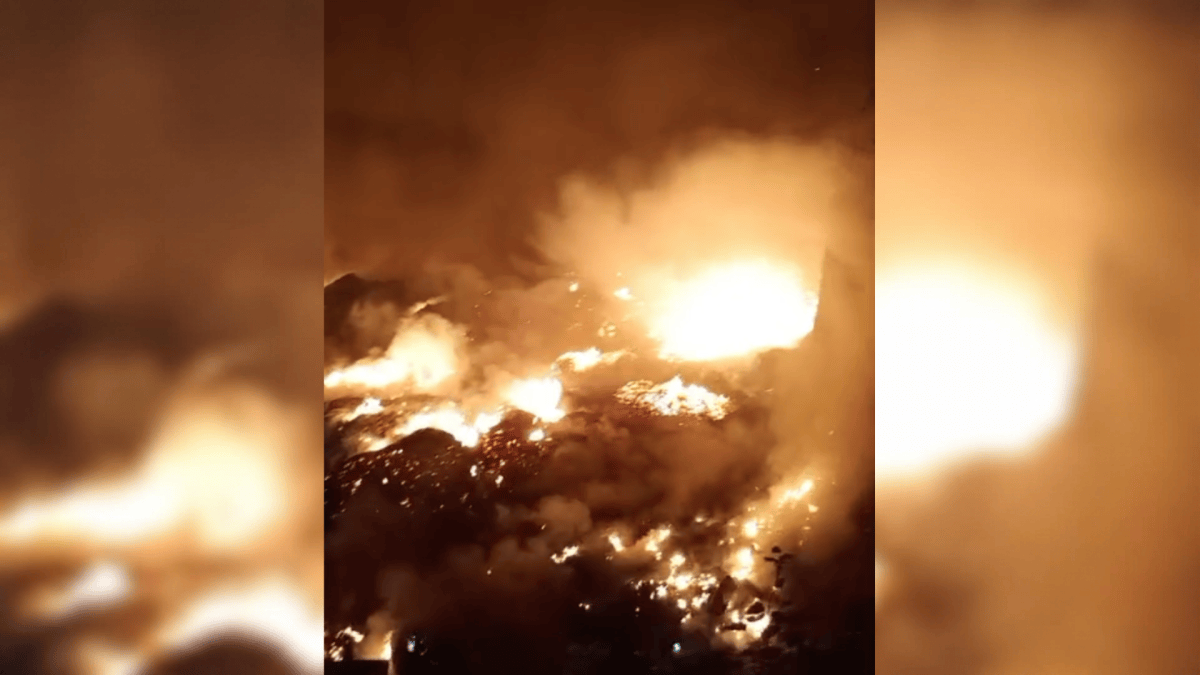 O que sabemos sobre incêndios que atingem mais de 30 cidades do Amazonas