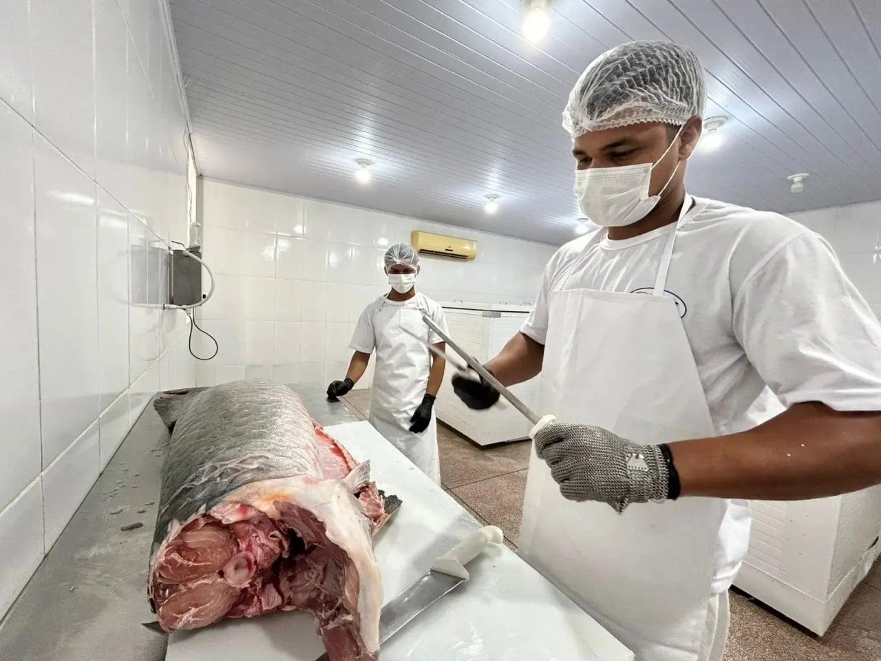 Oportunidade de crescimento para agroindústrias: regularização pelo SIM beneficia negócios em Porto Velho