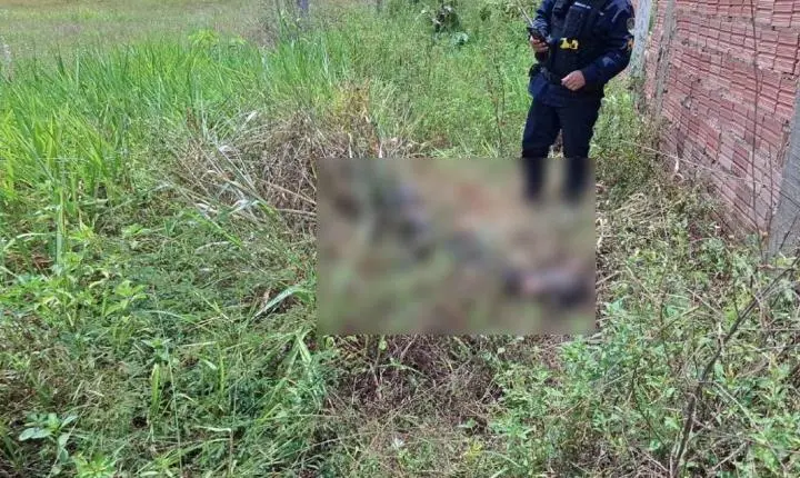Corpo carbonizado e com mãos amarradas é achado em matagal na zona Leste