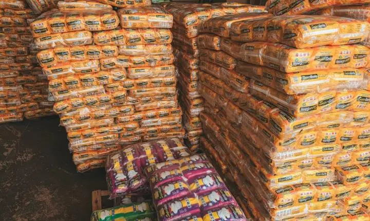 Log Fraldas já oferece entrega domiciliar para pacientes em Porto Velho