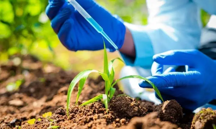Mercado de bioinsumos deve crescer até 7% em valor de vendas em 2026
