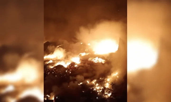 O que sabemos sobre incêndios que atingem mais de 30 cidades do Amazonas