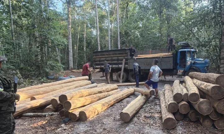 Polícia Ambiental apreende dois caminhões com madeira irregular em Vilhena