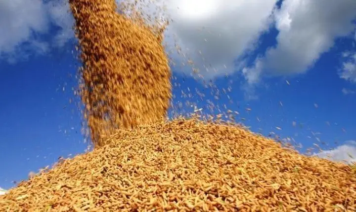 Preços de alimentos sobem 1,99% e puxam alta da indústria em agosto