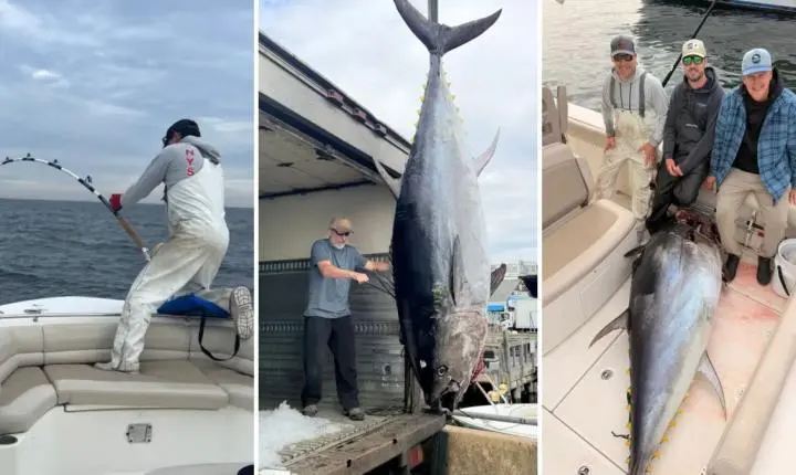 Três amigos fisgam atum gigante de 300 kg e 2,6 metros no mar, mas enfrentam “drama” inusitado: não podiam se atrasar para pegar os filhos na escola